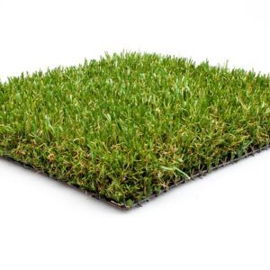 Eco-Green45