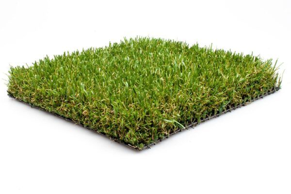 Eco-Green45