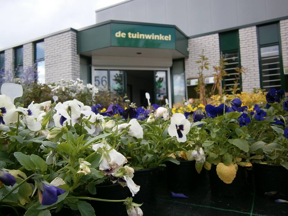 Tuinwinkel-Almere-Warners-huis-en-tuin